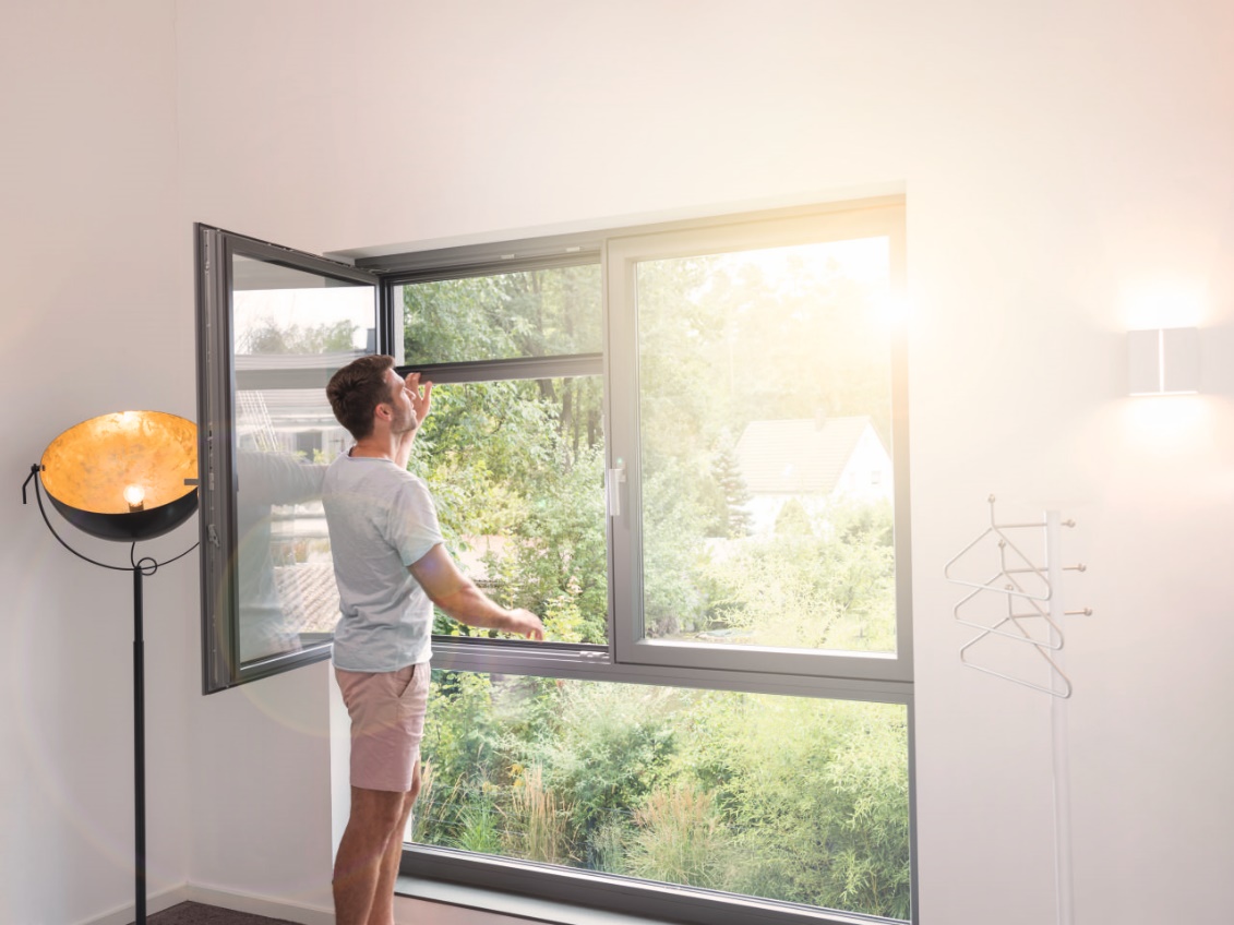 insektenschutz-rollos